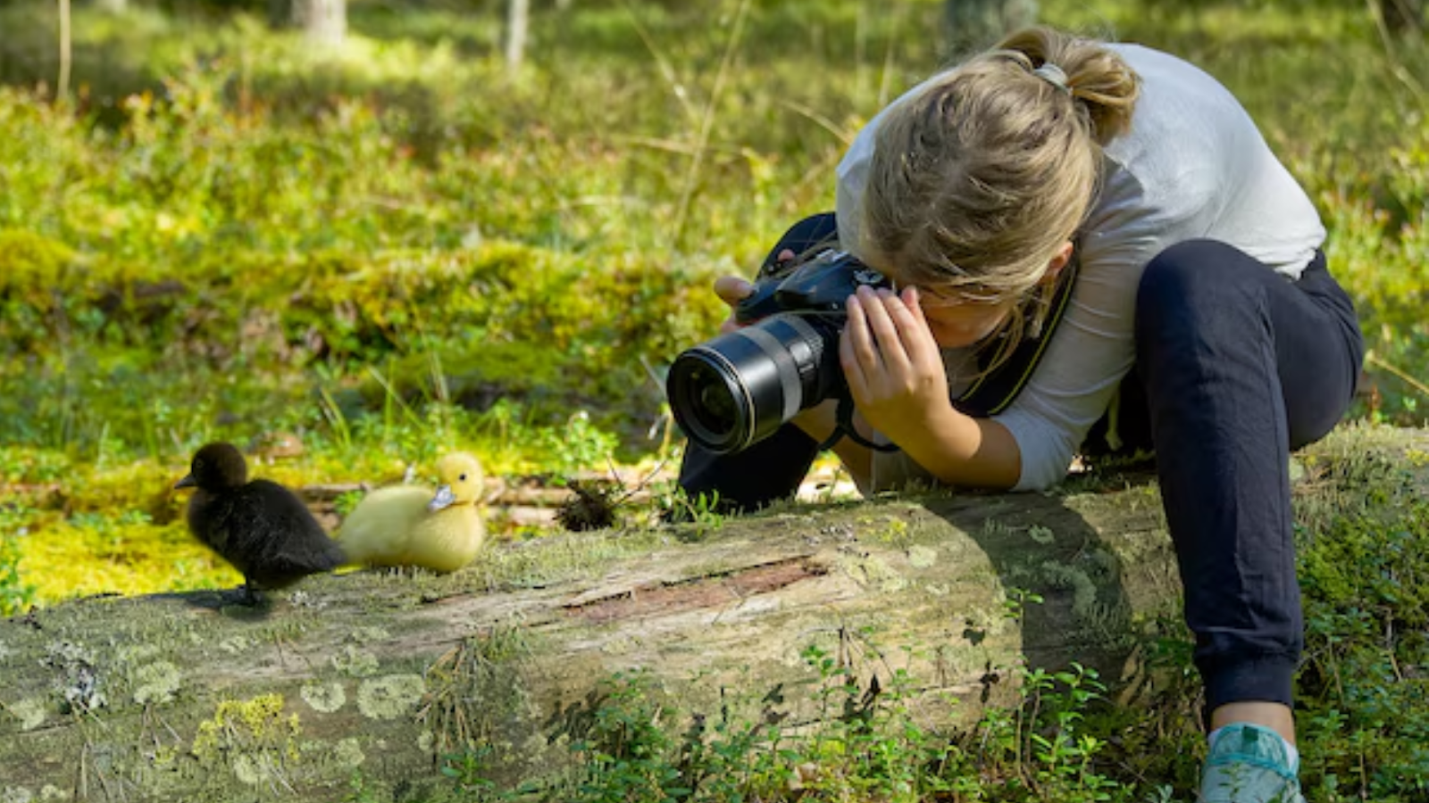 7 Secrets to Mastering Wild Photography in Nature