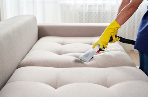 Expert Guide to Selecting a Professional Upholstery Cleaning Company 6 Expert Guide to Selecting a Professional Upholstery Cleaning Company