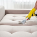 Expert Guide to Selecting a Professional Upholstery Cleaning Company