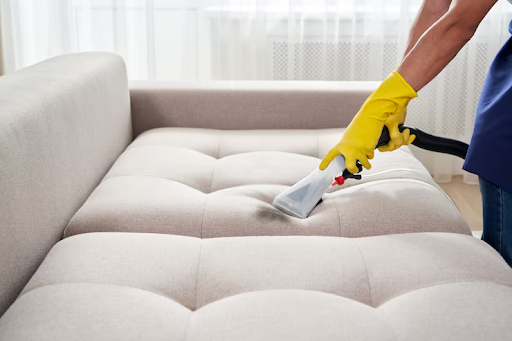 Expert Guide to Selecting a Professional Upholstery Cleaning Company